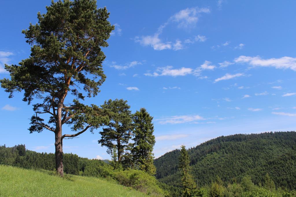 Pine Wood Apartment Vyšné Ružbachy Esterno foto